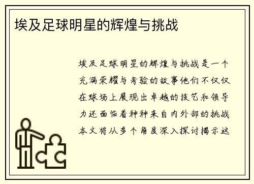 埃及足球明星的辉煌与挑战